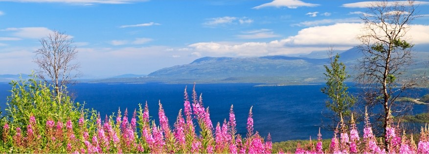 Abisko National Park, Sweden